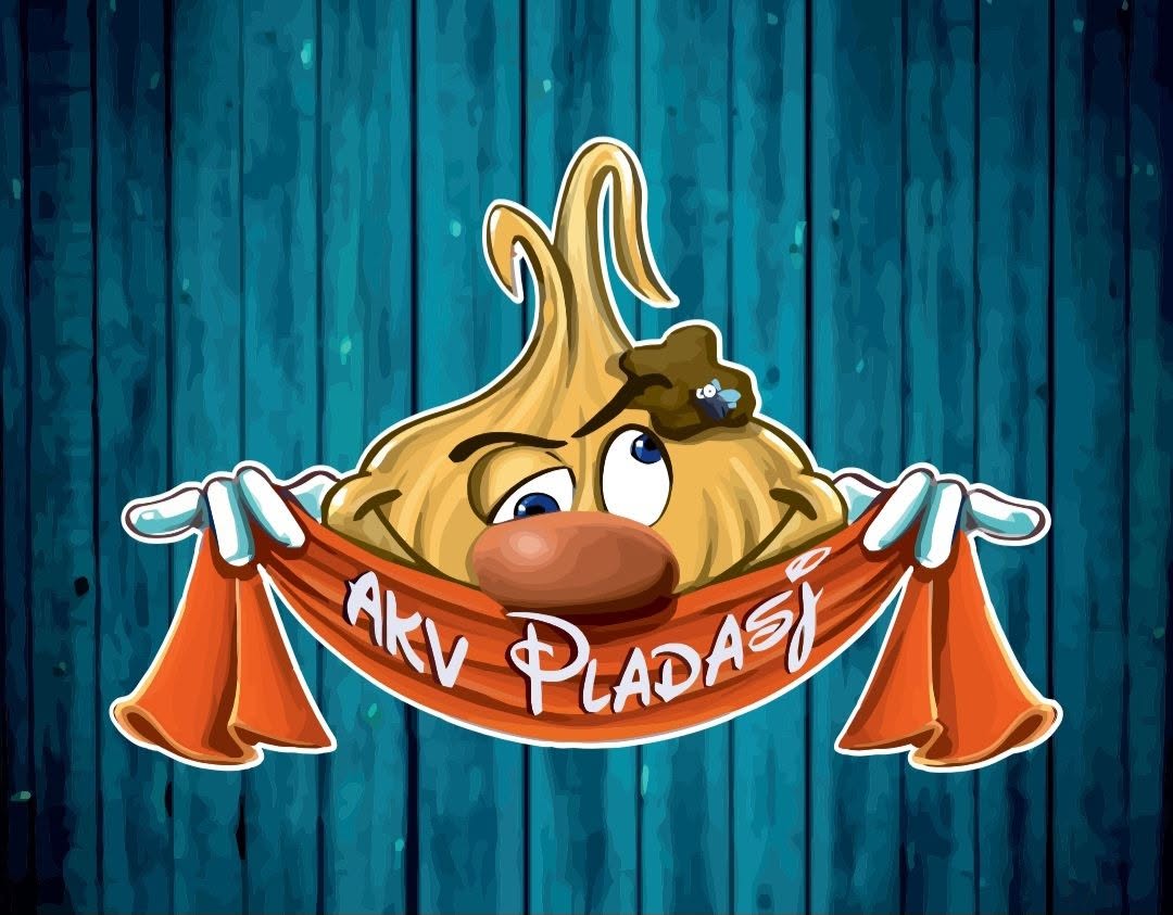 Groep in de Kijker: AKV Pladasj!